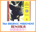 BumbungRec-RENIALA へ