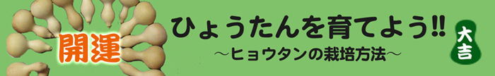 ひょうたんの栽培方法